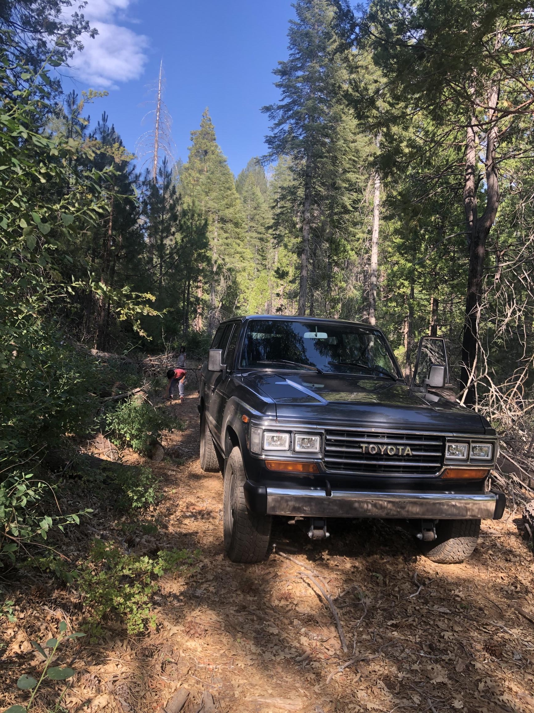 Sold: 1989 Toyota Land Cruiser FJ62