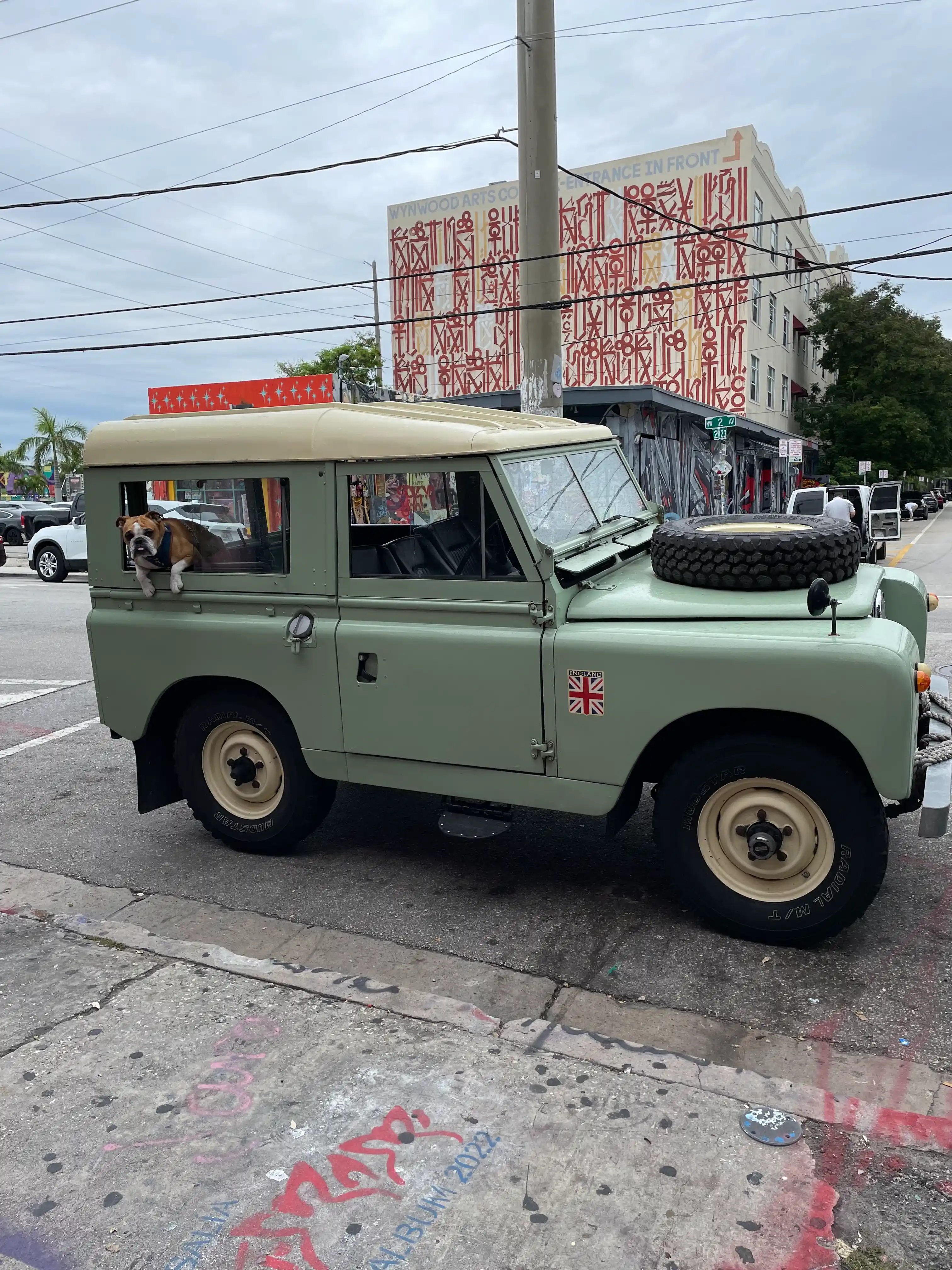 1965-land-rover-series-iia-for-sale-02