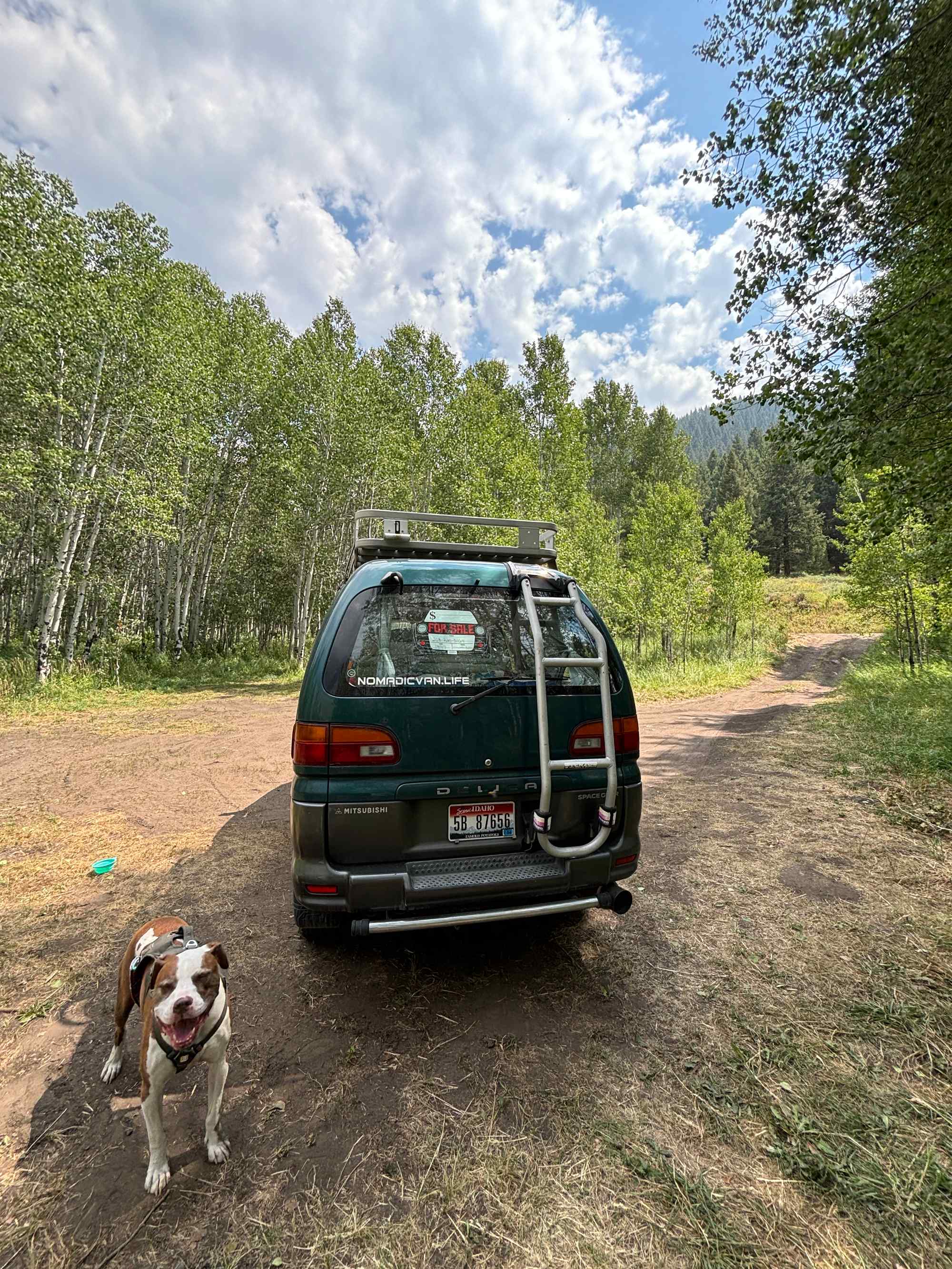 1997-mitsubishi-delica-for-sale-09