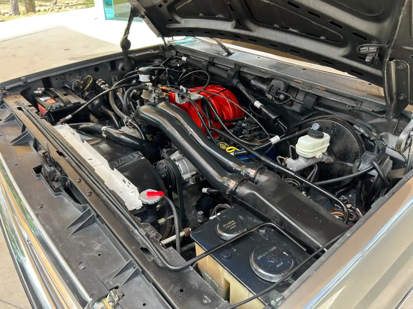 bricknose-ford-bronco-eddie-bauer-for-sale-4
