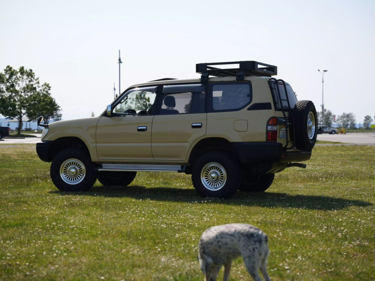 1996-toyota-land-cruiser-prado-for-sale-11