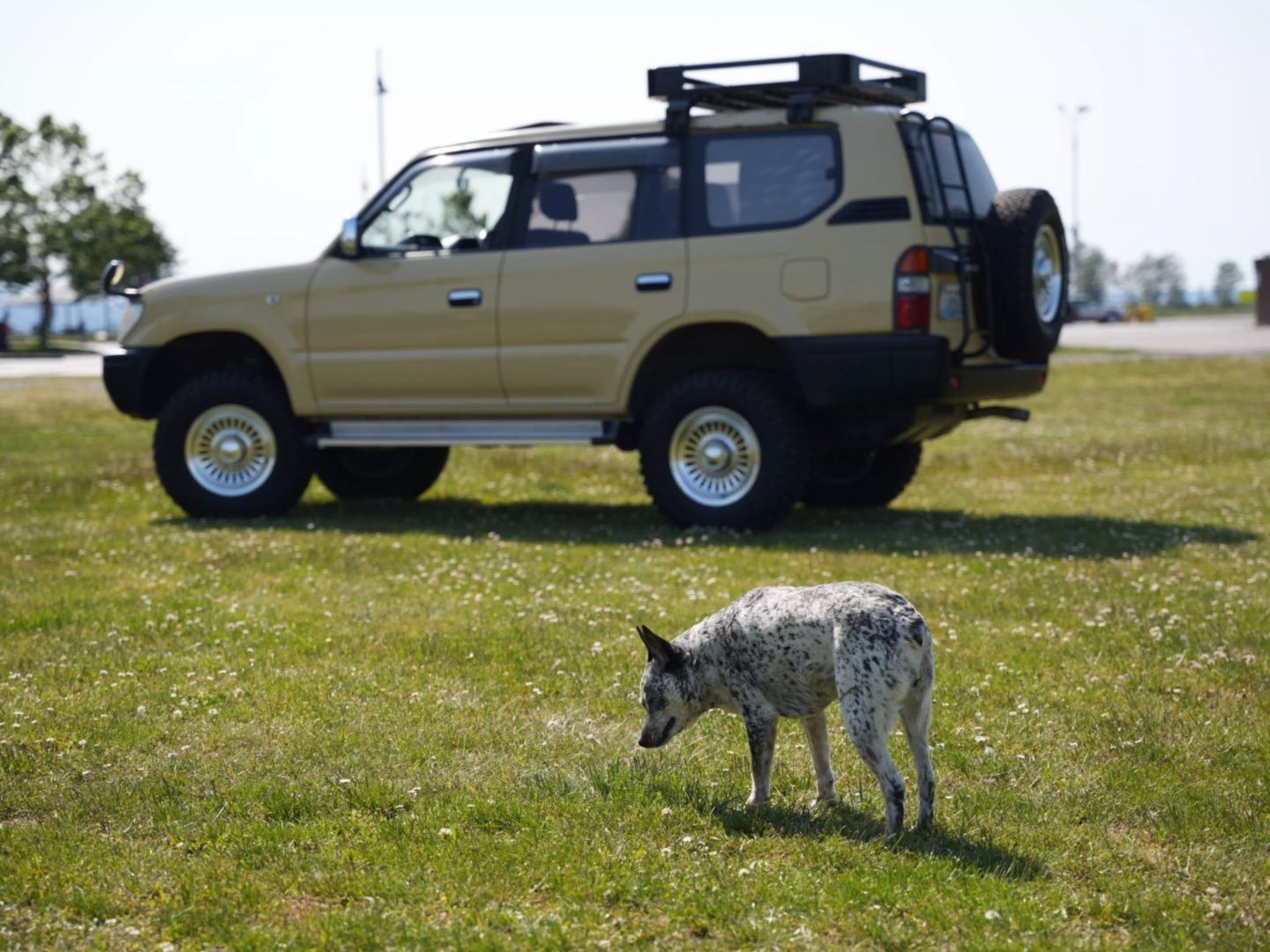 1996-toyota-land-cruiser-prado-for-sale-12