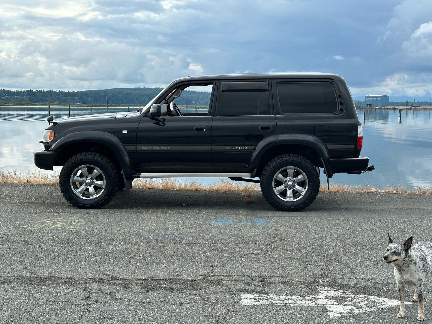 toyota-land-cruiser-80-series-for-sale-10