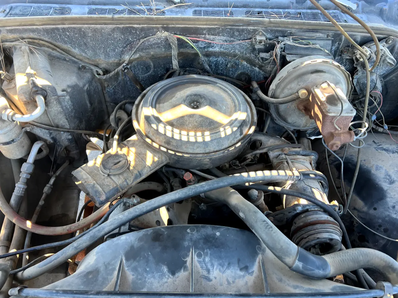 1980-chevy-k10-regular-cab-4x4-for-sale-11