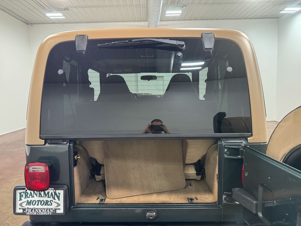 2002-jeep-wrangler-sahara-for-sale (28)