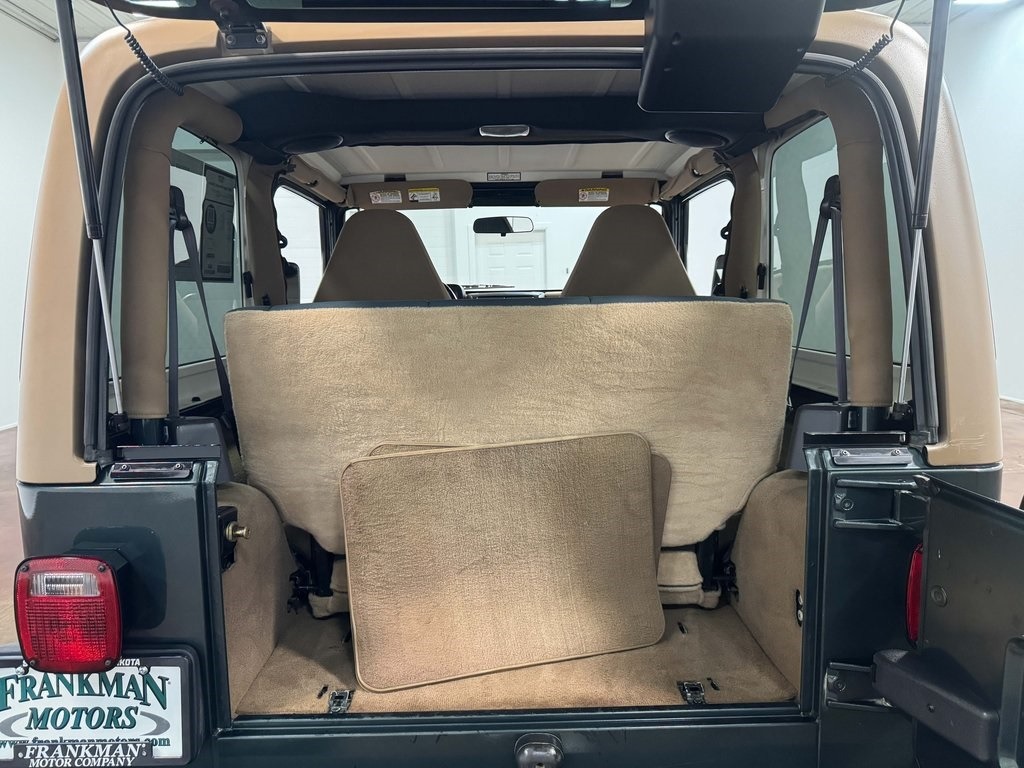 2002-jeep-wrangler-sahara-for-sale (46)