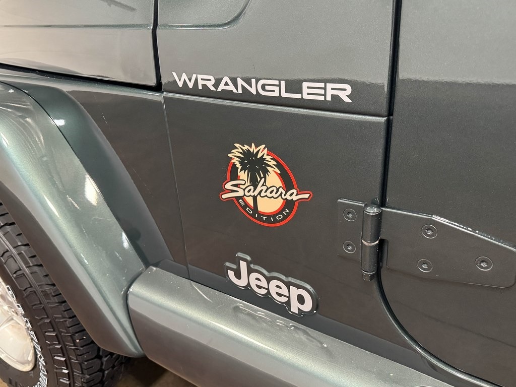 2002-jeep-wrangler-sahara-for-sale (52)