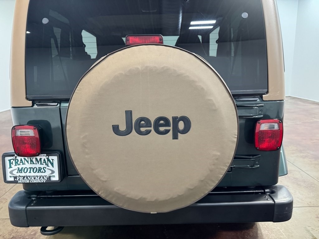 2002-jeep-wrangler-sahara-for-sale (6)