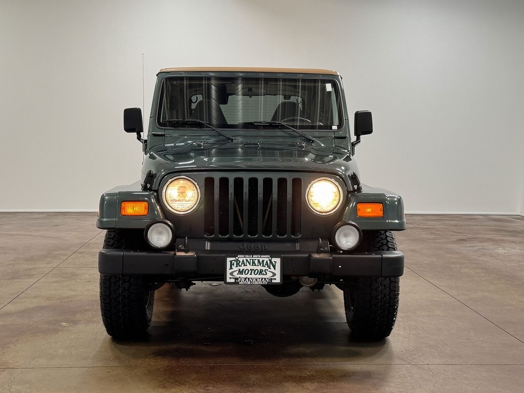 2002-jeep-wrangler-sahara-for-sale (64)