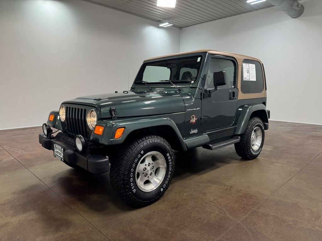 2002-jeep-wrangler-sahara-for-sale (75)