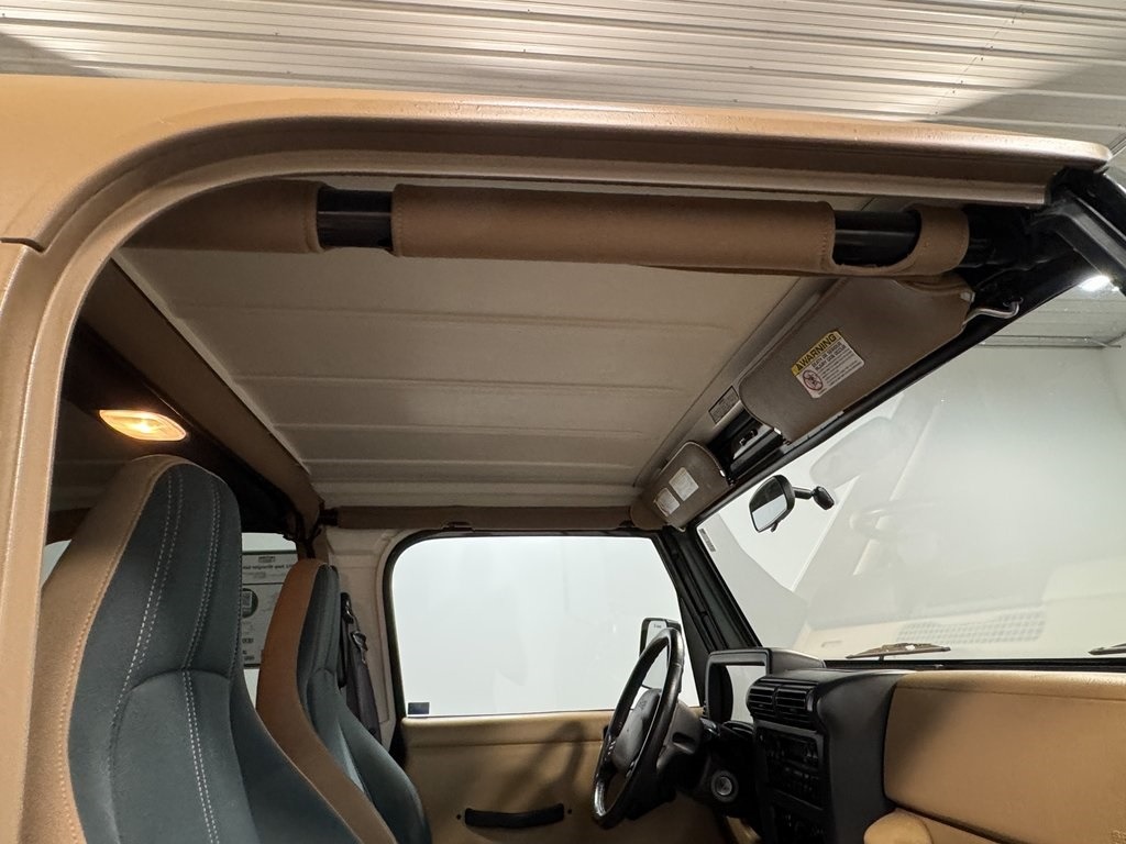 2002-jeep-wrangler-sahara-for-sale (77)