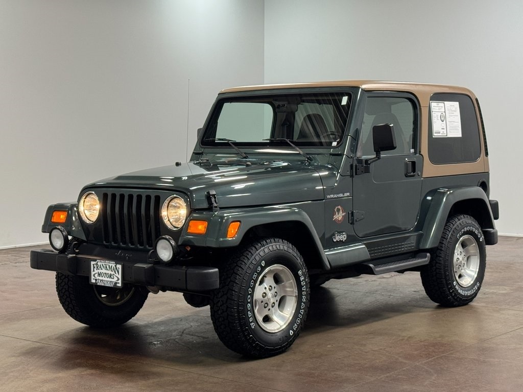 2002-jeep-wrangler-sahara-for-sale (79)