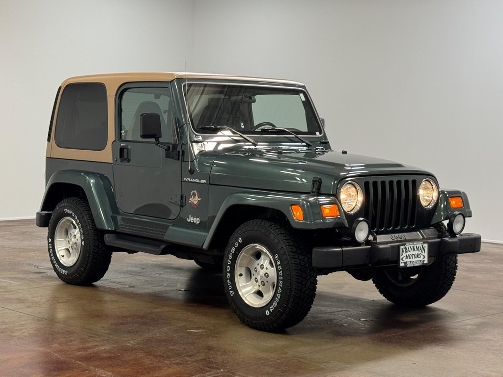 2002-jeep-wrangler-sahara-for-sale (80)