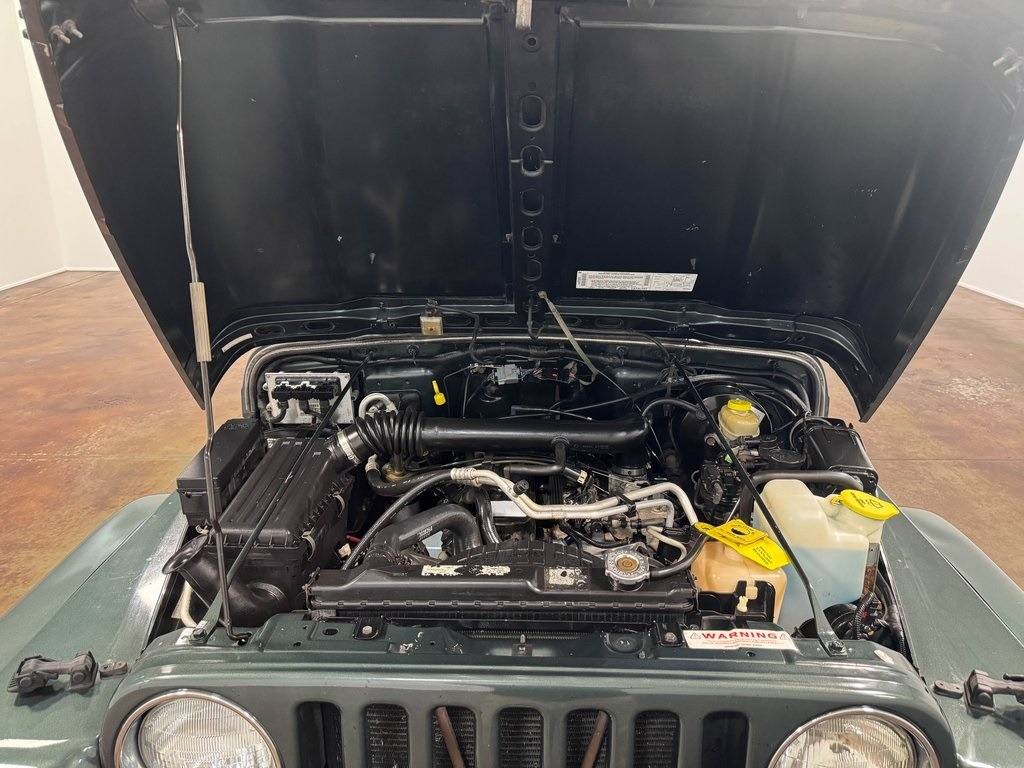 2002-jeep-wrangler-sahara-for-sale (86)