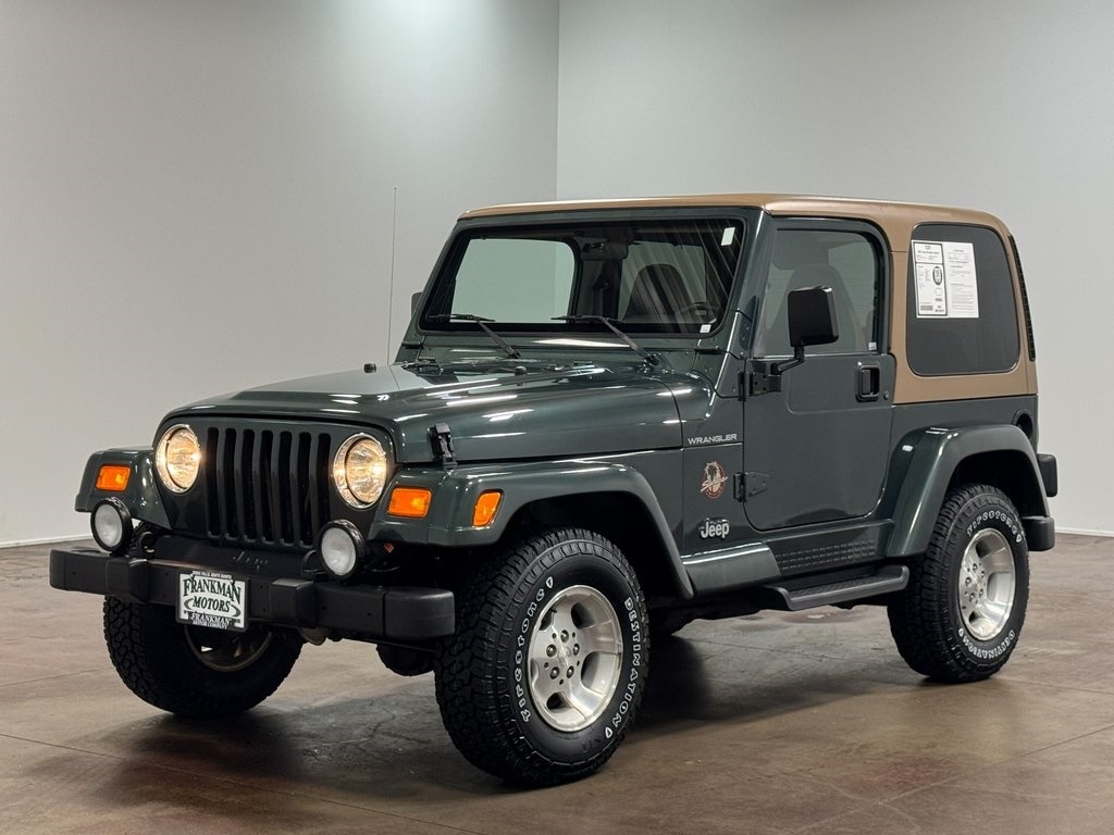 2002-jeep-wrangler-sahara-for-sale (92)