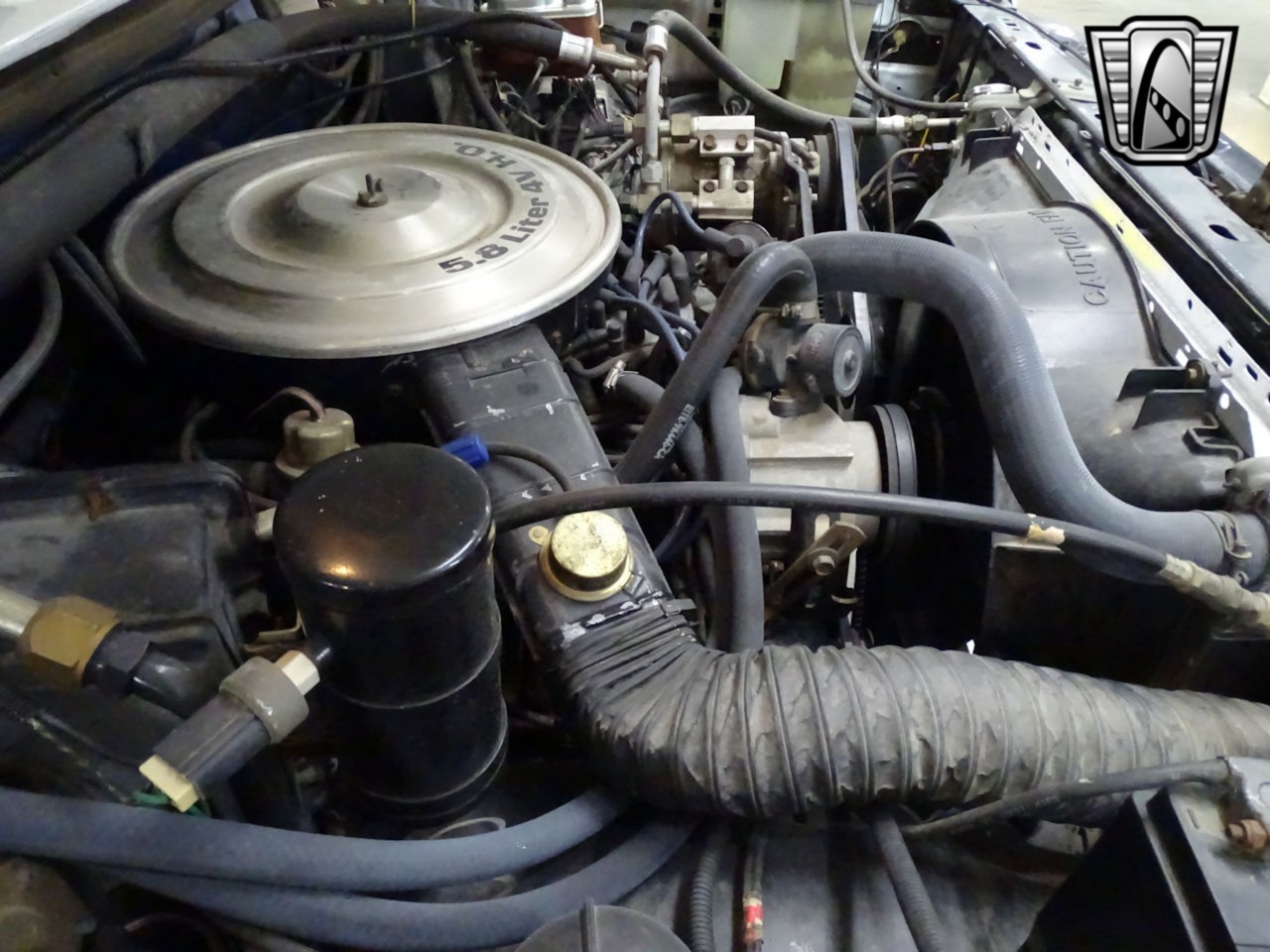 1984-ford-bronco-for-sale (3)