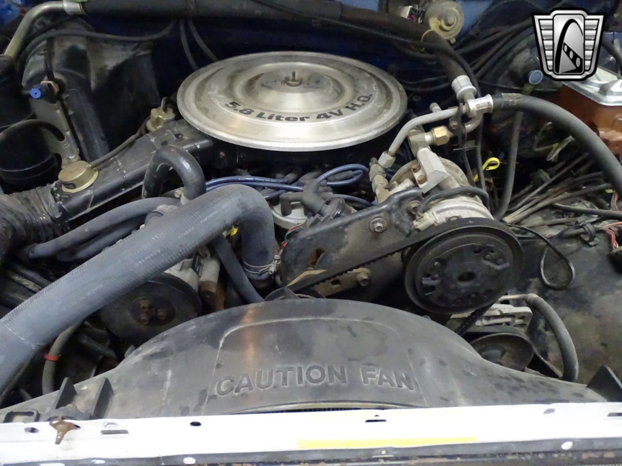 1984-ford-bronco-for-sale (5)