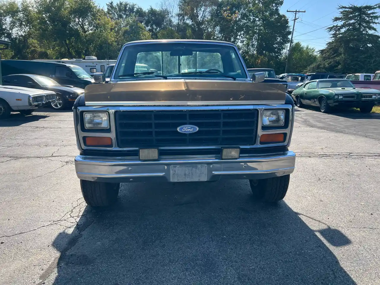 1984-ford-f-150-styleside-for-sale-02