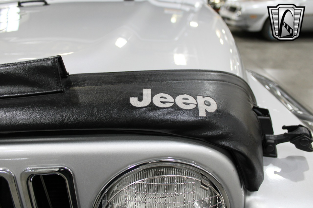 2003-jeep-wrangler-for-sale (45)