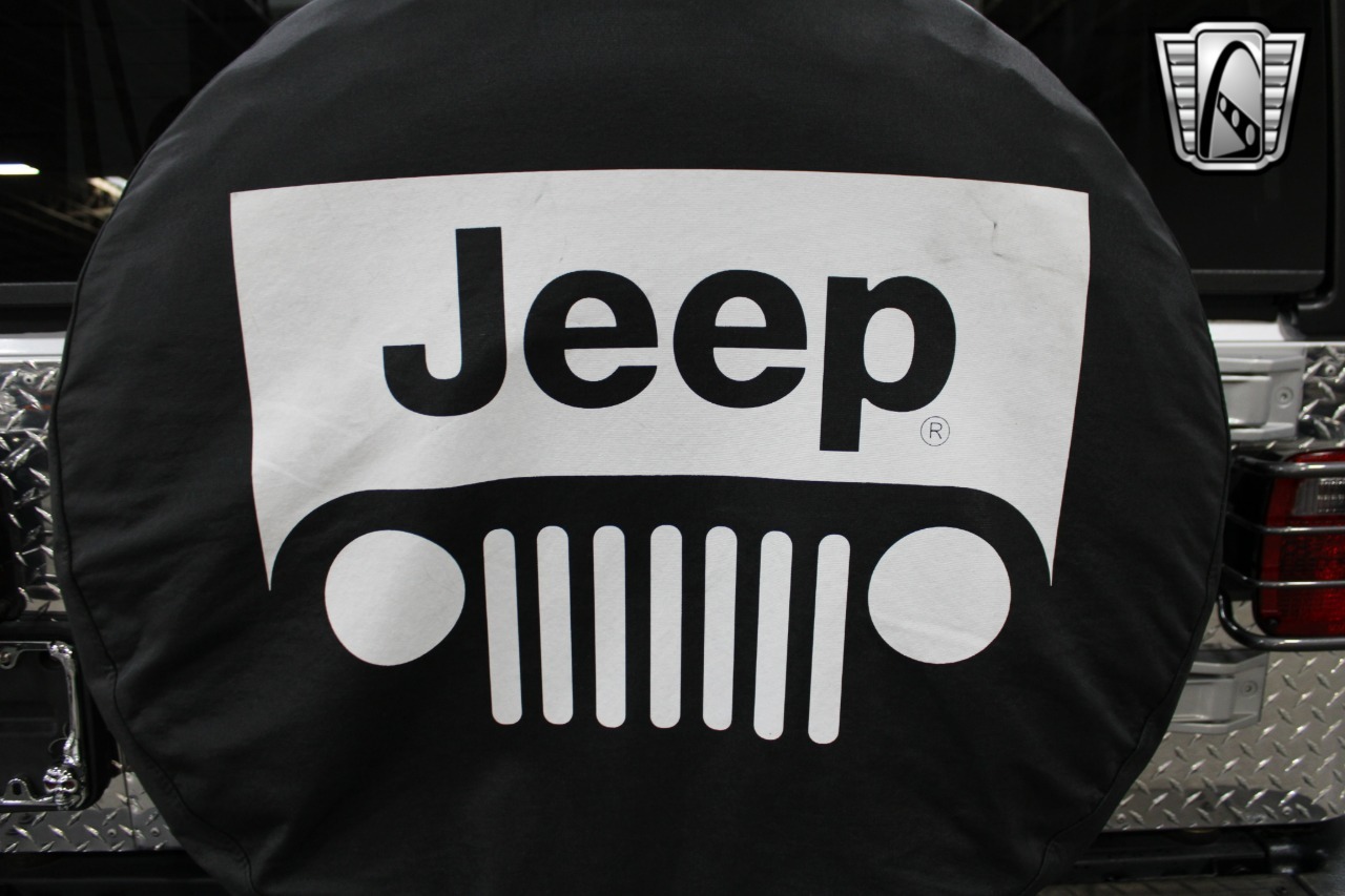 2003-jeep-wrangler-for-sale (48)